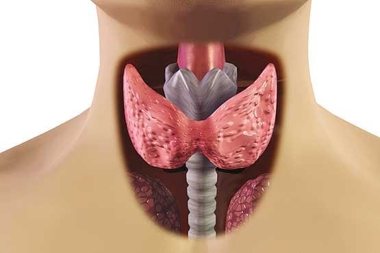 nutritions throat care solutions