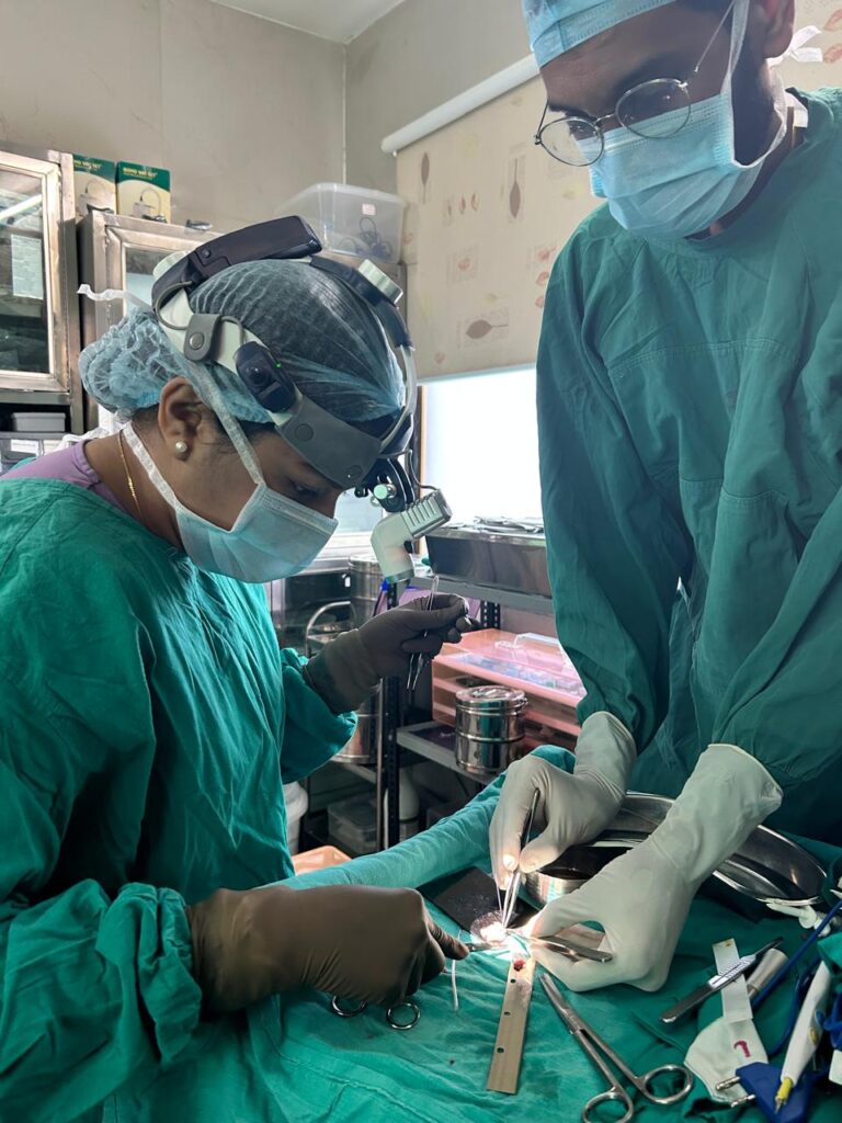 whatsapp image 2025 12 22 at 12.53.34 (3)